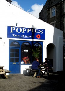 poppies